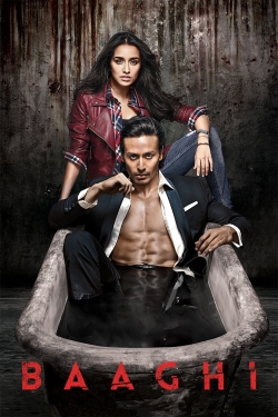 watch-Baaghi