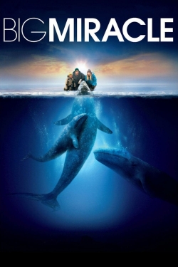 watch-Big Miracle