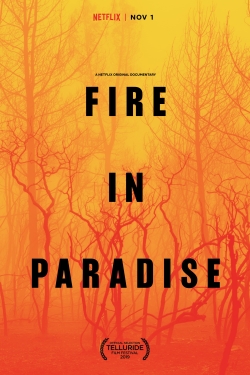 watch-Fire in Paradise