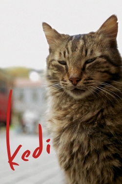 watch-Kedi