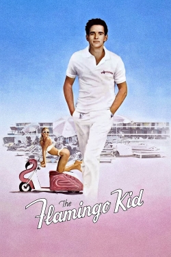 watch-The Flamingo Kid