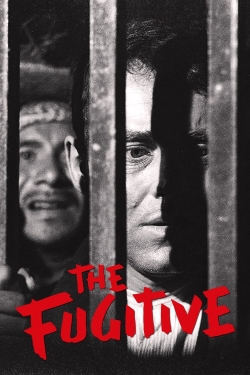 watch-The Fugitive