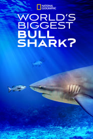 watch-World’s Biggest Bull Shark?
